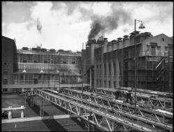 Briquette factory with hands [Yallourn, Victoria, December 1947 ...