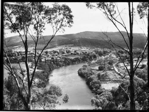 Looking to New Norfolk with trees on either side [picture] : [New Norfolk, Tasmania] / [Frank Hurley]