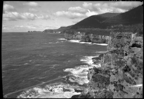 Coastal scene near Eaglehawk Neck [picture] : [Eaglehawk Neck, Tasmania] / [Frank Hurley]