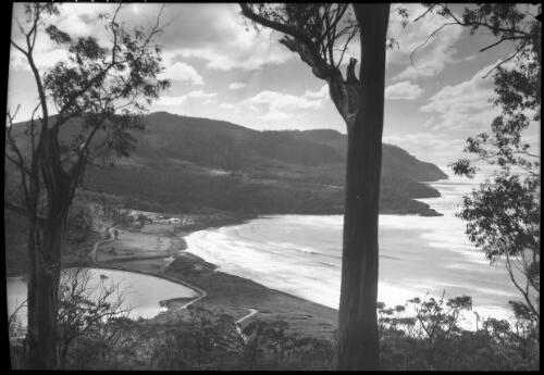 Eaglehawk Neck [from above with two trees] [picture] : [Eaglehawk Neck, Tasmania] / [Frank Hurley]