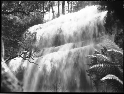 Upper Falls [Russell Falls, 1] [picture] : [Mount Field National Park, Tasmania] / [Frank Hurley]