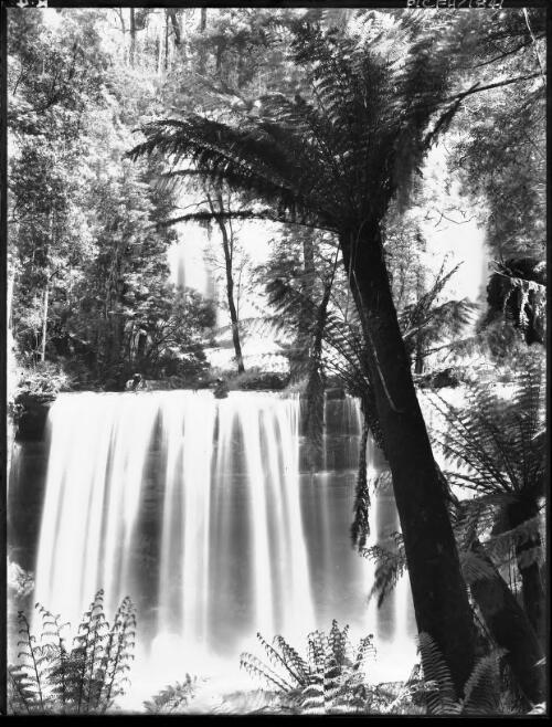 Low Falls with big tree fern [Russell Falls] [picture] : [Mount Field National Park, Tasmania] / [Frank Hurley]