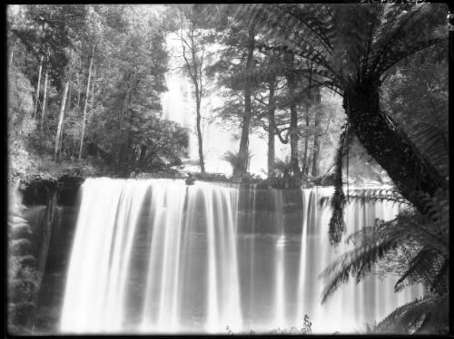 General view [Russell Falls] [picture] : [Mount Field National Park, Tasmania] / [Frank Hurley]