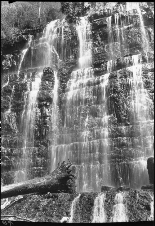 Falls in summer [with fallen tree on left, Russell Falls] [picture] : [Mount Field National Park, Tasmania] / [Frank Hurley]