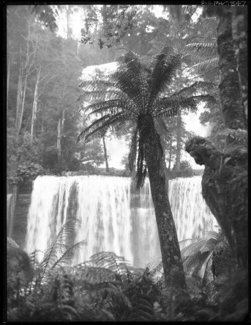 Falls in summer [with large tree fern in centre, Russell Falls, 2] [picture] : [Mount Field National Park, Tasmania] / [Frank Hurley]