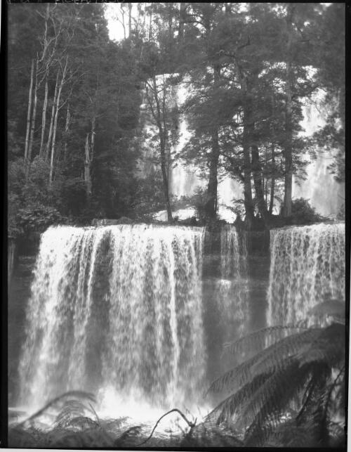 Falls in summer [Russell Falls, 1] [picture] : [Mount Field National Park, Tasmania] / [Frank Hurley]