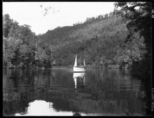 Upper Reach of Gordon with boat [picture] : [Gordon River, Tasmania] / [Frank Hurley]