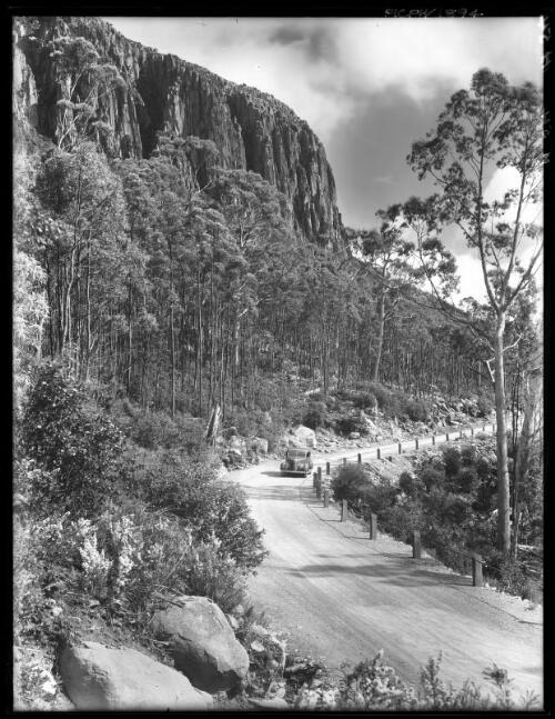 Mt Wellington Road near Peak, vertical [picture] : [Hobart, Tasmania] / [Frank Hurley]