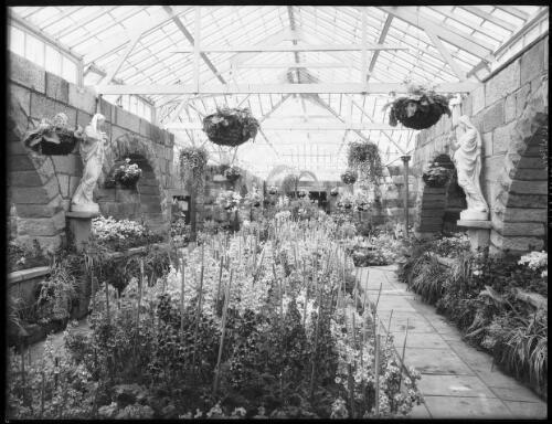 Conservatory in Botanic Gardens [2] [picture] : [Hobart, Tasmania] / [Frank Hurley]