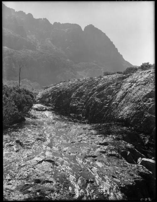 Cradle Mt from outlet of Flynn's Tarn [picture] : [Cradle Mountain, Tasmania] / [Frank Hurley]