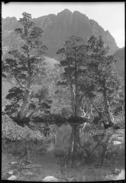 Artists Pool [1] [picture] : [Cradle Mountain, Tasmania] / [Frank Hurley]