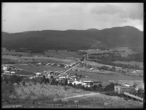 General view looking over [1] [picture] : [Huon District, Tasmania] / [Frank Hurley]