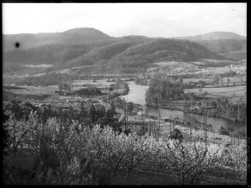 Looking from height up R. [picture] : [Huon River, Tasmania] / [Frank Hurley]