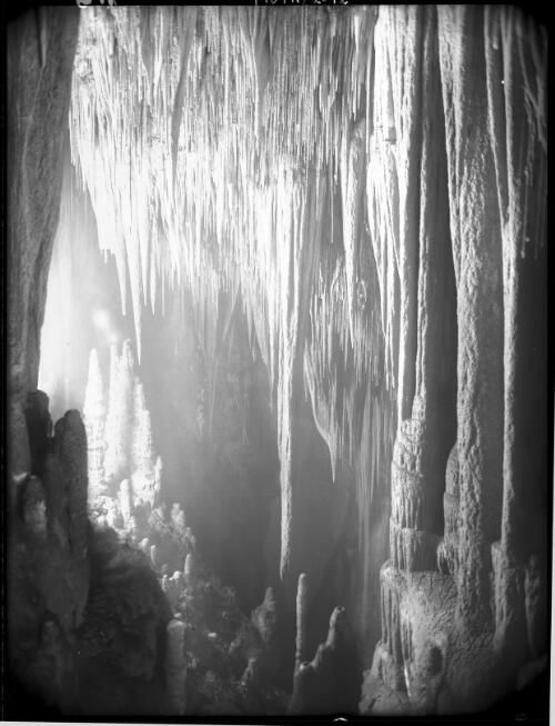 Dome of Cathedral Cave [picture] : [Hastings Caves, Tasmania] / [Frank Hurley]