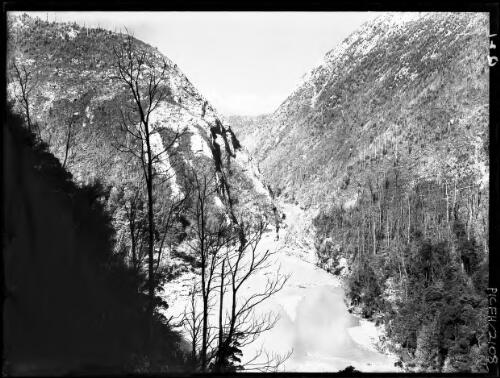King R [King River] Gorge, horizontal, dark tree in foreground [picture] : [Queenstown, Tasmania] / [Frank Hurley]
