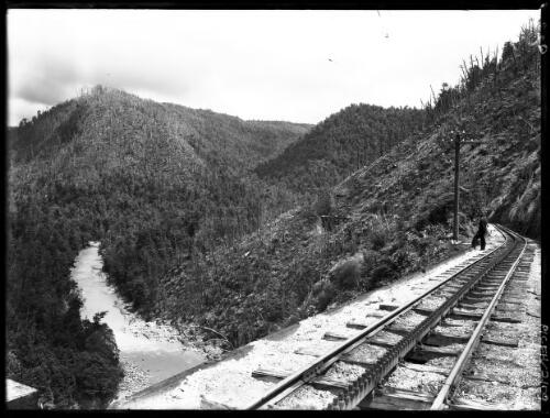 Showing Rack Railway [with figure] [picture] : [Queenstown, Tasmania] / [Frank Hurley]