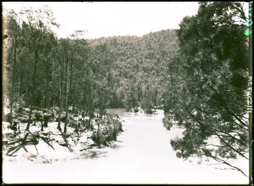 King R[iver] [picture] : [Queenstown, Tasmania, 1] / [Frank Hurley]