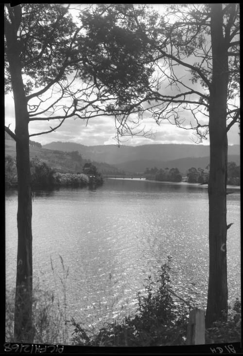 River against light, vertical [Huon River through two trees, with hills] [picture] : [Huon District, Tasmania] / [Frank Hurley]