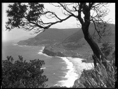 Stanwell Park from Bald Hill, framed by tree, South Coast, New South Wales, 1 [picture] / Frank Hurley
