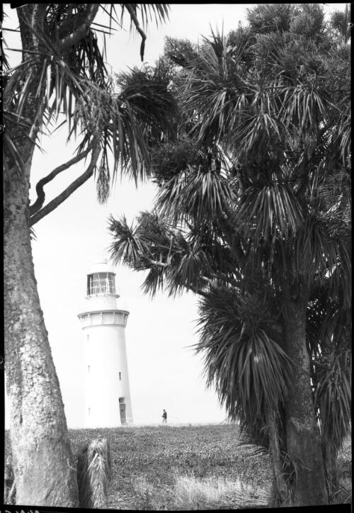 Light House, Table Cape [framed by trees] [picture] : [North West Coast, Tasmania] / [Frank Hurley]