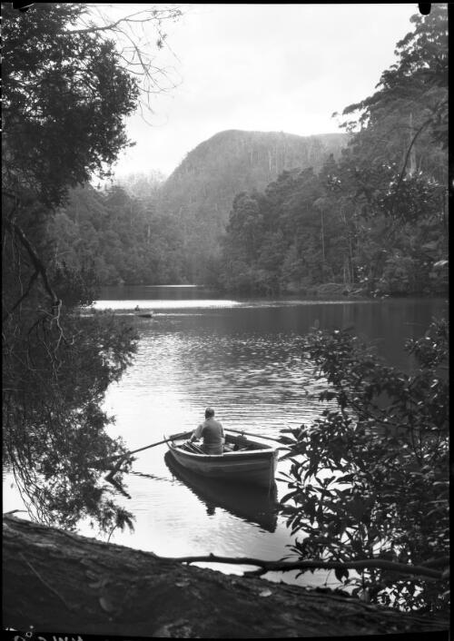 Pieman River, 2 boats in F.G., with rowers [2] [picture] : [North West Coast, Tasmania] / [Frank Hurley]