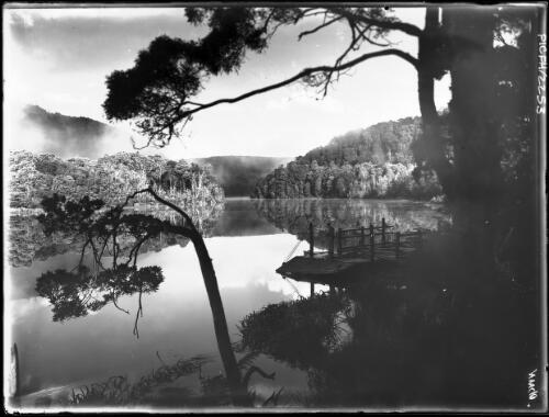 Pieman River morning scene [picture] : [North West Coast, Tasmania] / [Frank Hurley]
