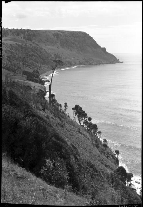 Table Cape, upright [curving bay, trees, sea] [picture] : [North West Coast, Tasmania] / [Frank Hurley]