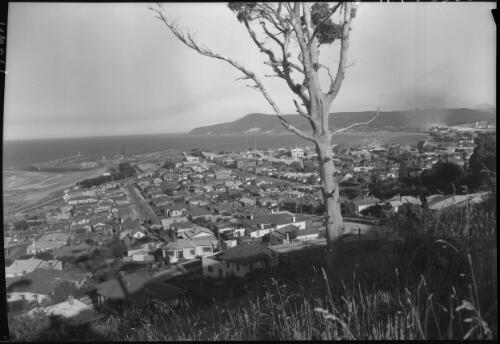 [Burnie showing the bay, houses and tree in centre, grass in the foreground] [picture] : [North West Coast, Tasmania] / [Frank Hurley]