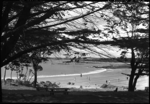 The Bluff Beach Devonport [framed by trees and with benches and figures] [picture] : [North West Coast, Tasmania] / [Frank Hurley]