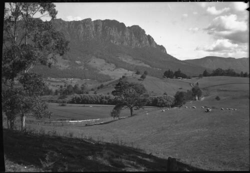 Mt Roland from West Kentish [picture] : [North West Coast, Tasmania] / [Frank Hurley]