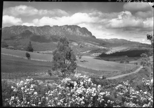 Mt Roland from Claude Road [with car on right of tree on road] [picture] : [North West Coast, Tasmania] / [Frank Hurley]