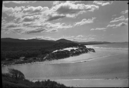 Typical N.W. scene Tas. [picture] : [North West Coast, Tasmania] / [Frank Hurley]