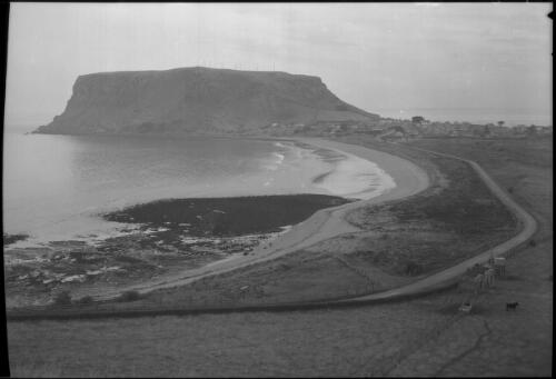 The Nut Stanley Tas. N.W. Coast [with beach, road and animals] [picture] : [Tasmania] / [Frank Hurley]