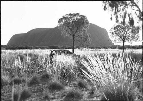[Uluru with grass, trees and a car] [picture] : [Central Australia] / [Frank Hurley]