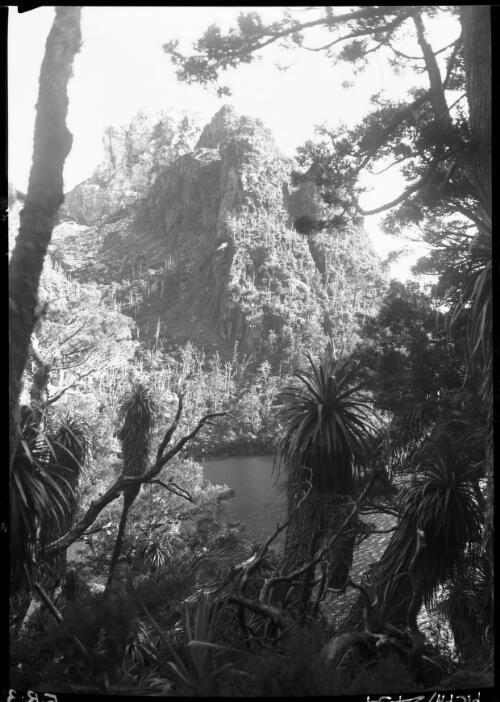 Lake Tahune, vert. [viewed through trees, near Frenchman's Cap] [picture] : [Frenchman Range, Tasmania] / [Frank Hurley]