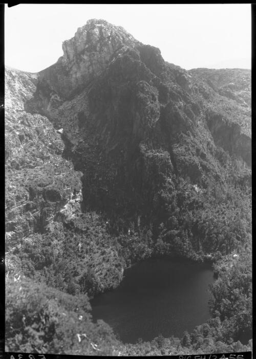 Lake Tahune, vert. [without view through trees, near Frenchman's Cap] [picture] : [Frenchman Range, Tasmania] / [Frank Hurley]
