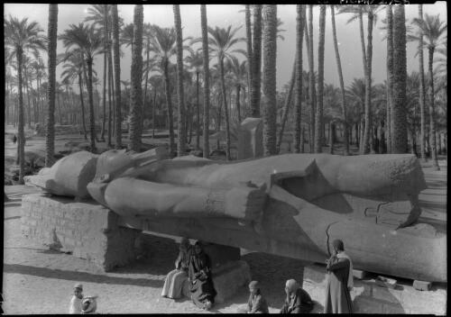 [Colossal Statue of Rameses 11 at Memphis] [picture] : [Egypt, World War II] / [Frank Hurley]