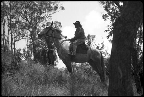 [Unidentified man on horseback, 1] [picture] / [Frank Hurley]