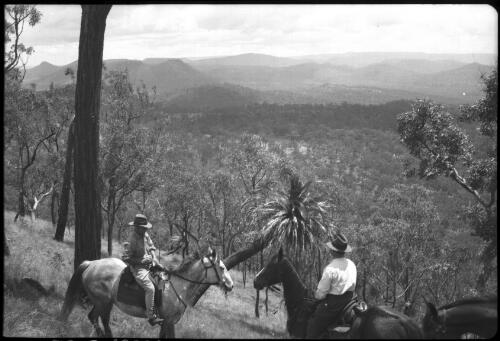 [Men on horses overlooking tropical bushland and mountains, 1] [picture] / [Frank Hurley]
