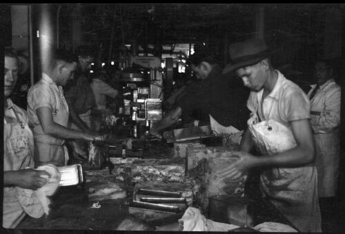 [People working on a food production line] [picture] / [Frank Hurley]