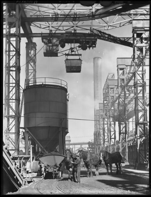 [BHP Steelworks, Newcastle, heavy horses used for moving the ore] [picture] / Frank Hurley