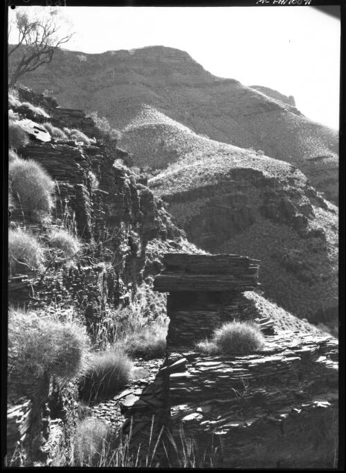 [Unidentified landscape scene with shrubs, exposed rock and mountains in background] [picture] / [Frank Hurley]