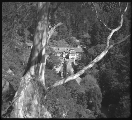 [Caves House through tree, Jenolan Caves, New South Wales] [picture] / [Frank Hurley]