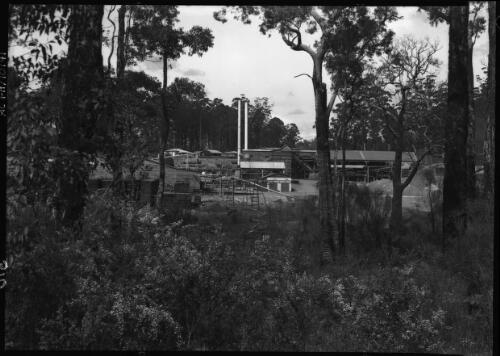 [The Donnelly River Mill near Manjimup, Western Australia] [picture] / [Frank Hurley]
