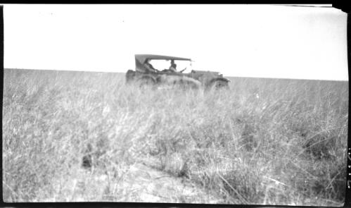 Mitchell grass, Barkly Tableland, Northern Territory 1925 [motor vehicle, side view] [picture] : [Central Australia] / [Frank Hurley]