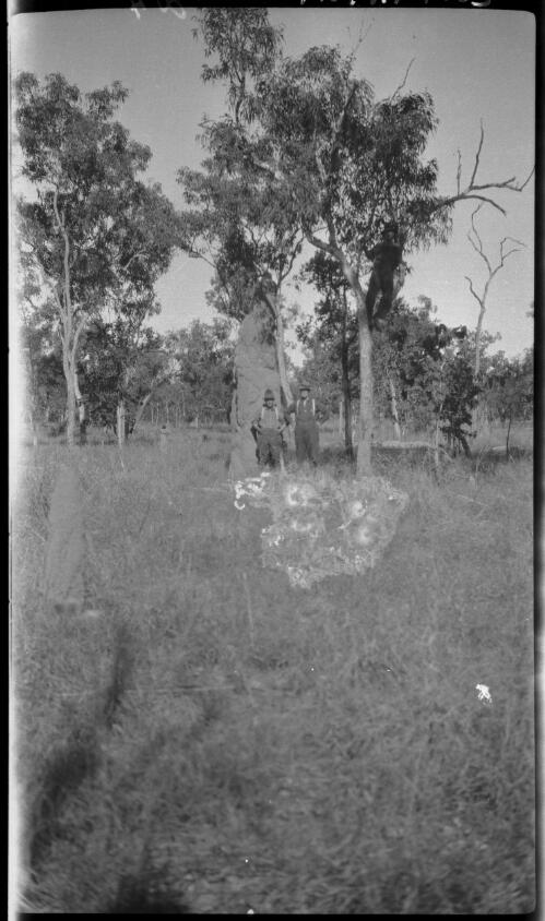 Anthill [ant hill], NT, 1925 [with three figures, one in a tree, ca. 1925-1927] [picture] : [Central Australia] / [Frank Hurley]