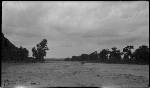 Finke R. dry [dry river bed, Fink River, NT] [picture] : [Central Australia] / [Frank Hurley]