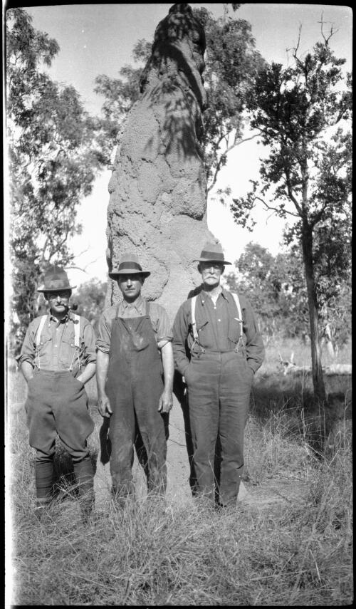 Magnetic anthills, NT, 1925 [three men pose in front of a very large anthill] [picture] : [Central Australia] / [Frank Hurley]
