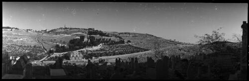[Cemetery, Garden of Gethsemane and the Basilica of the Agony,  higher up, the Russian Church of Saint Mary Magdalene, on the summit of the Mount is a Moslem minaret and alongside the Church of the Ascension, ca. 1940-1945] [picture] / [Frank Hurley]