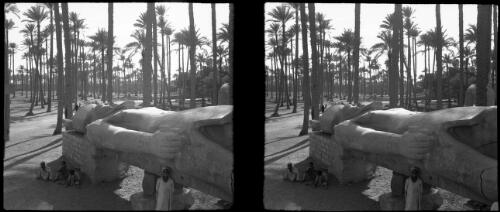Fallen Colossus of Rameses [Rameses] II at Memphis [picture] : [Egypt, World War II] / [Frank Hurley]